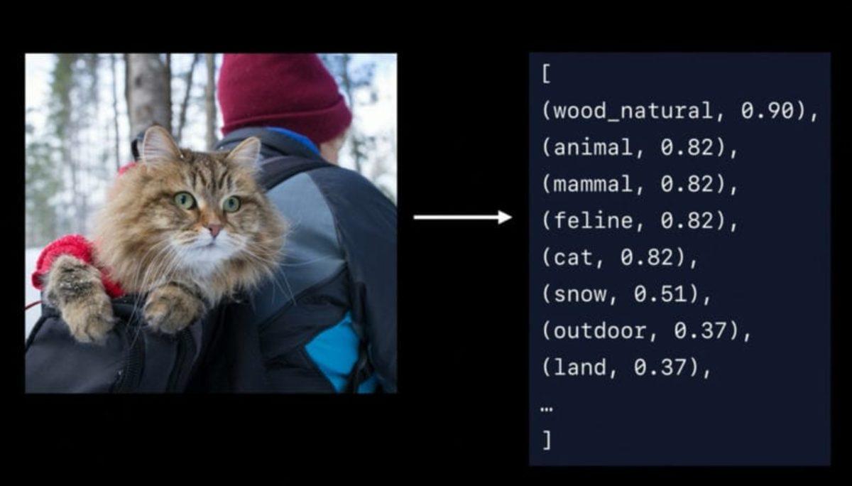 iOS 13’le Birlikte iPhone’lar, Evcil Hayvanları Tanıyabilecek