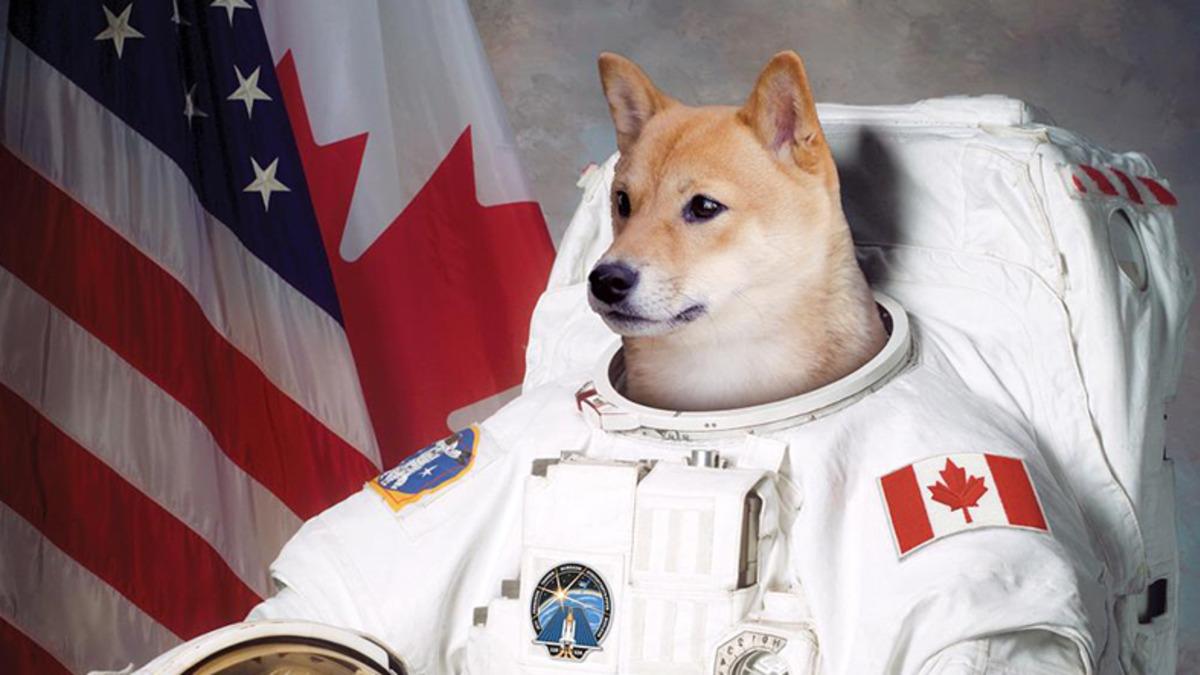 “Astronotların Sağlığı İçin Uzaya Daha Fazla Köpek Gönderilmeli”