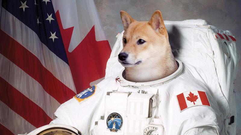 “Astronotların Sağlığı İçin Uzaya Daha Fazla Köpek Gönderilmeli”