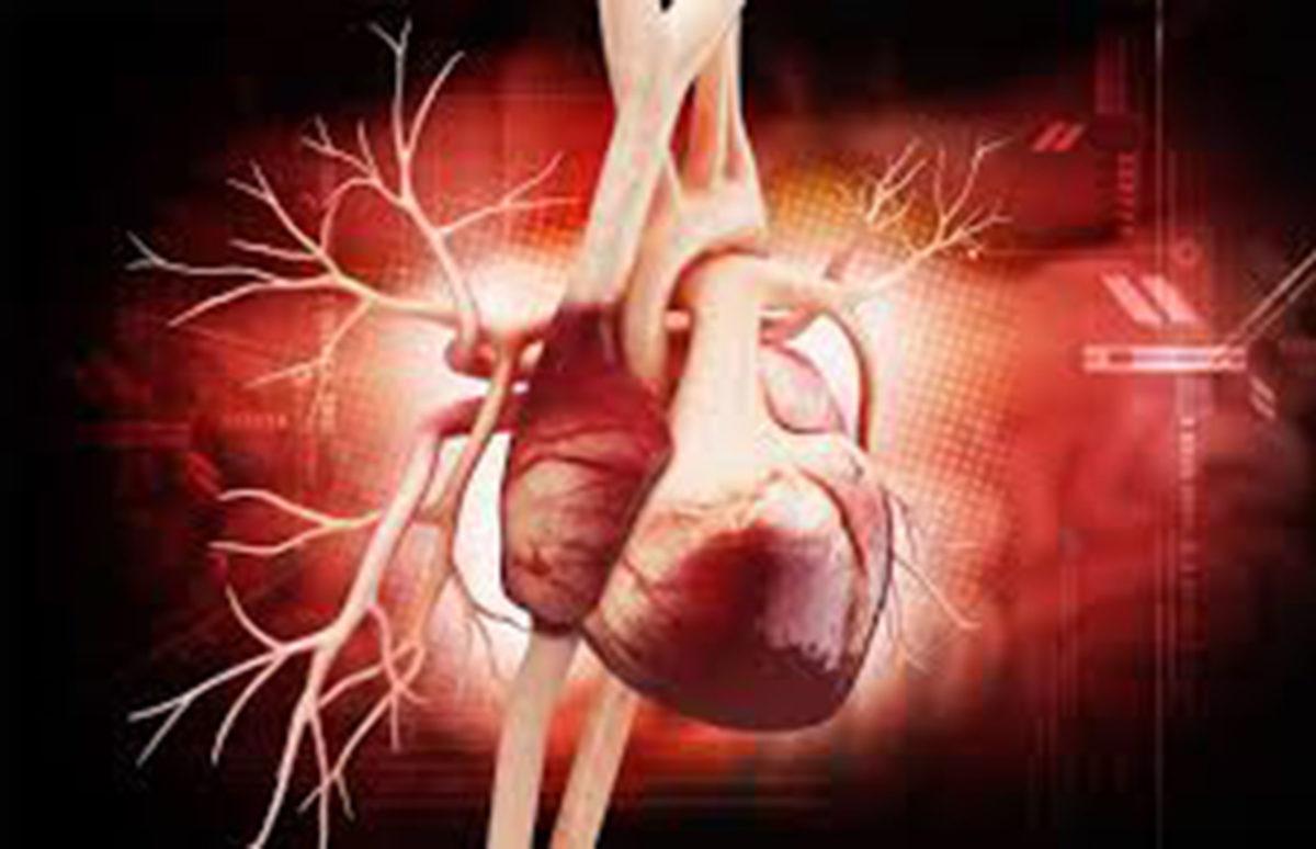 Koronavirüsün Kalbi de Etkilediği Ortaya Çıktı