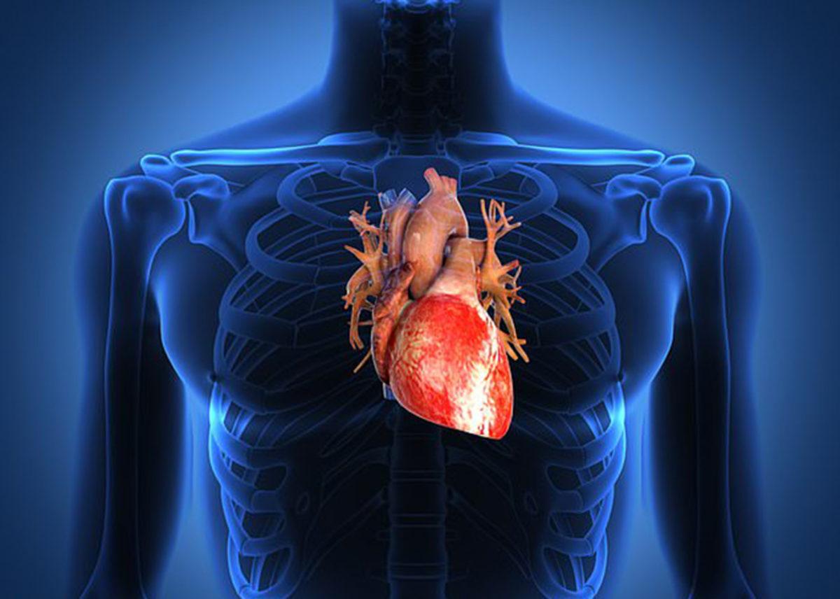 Koronavirüsün Kalbi de Etkilediği Ortaya Çıktı