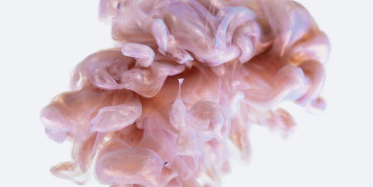 Sinirsel Aktivite Gerçekleştirebilen Bir Yapay Beyin Tasarlandı