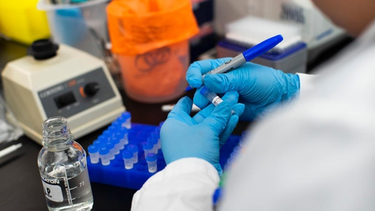 Bilimin Koronavirüs Salgınıyla İlgili Kesin Olarak Cevaplayamadığı 3 Soru