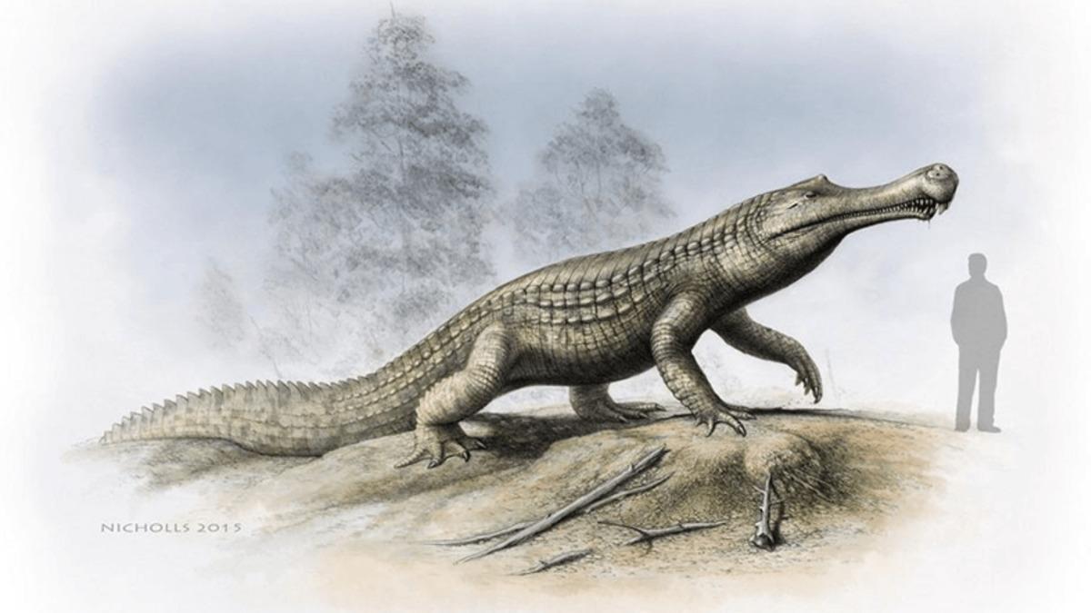 Geçmiş Dönemde Yaşamış Otobur Timsahlar Keşfedildi