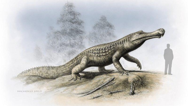 Geçmiş Dönemde Yaşamış Otobur Timsahlar Keşfedildi