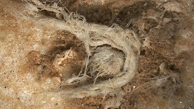 Lif Teknolojisinin Neandertaller Döneminden Kalma Kalıntıları Keşfedildi