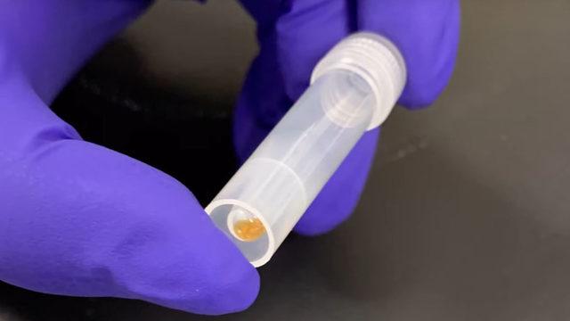 ABD’li Şirket Catalog, 16 GB’lık Wikipedia Verisini DNA’ya Yerleştirmeyi Başardı