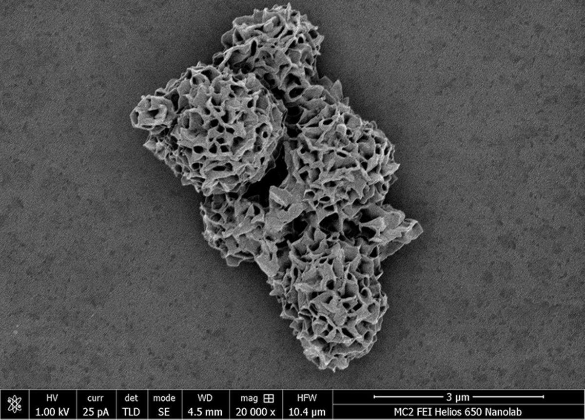 Bilim İnsanları, Tüm Zamanların En Karmaşık Yapısını Oluşturdular