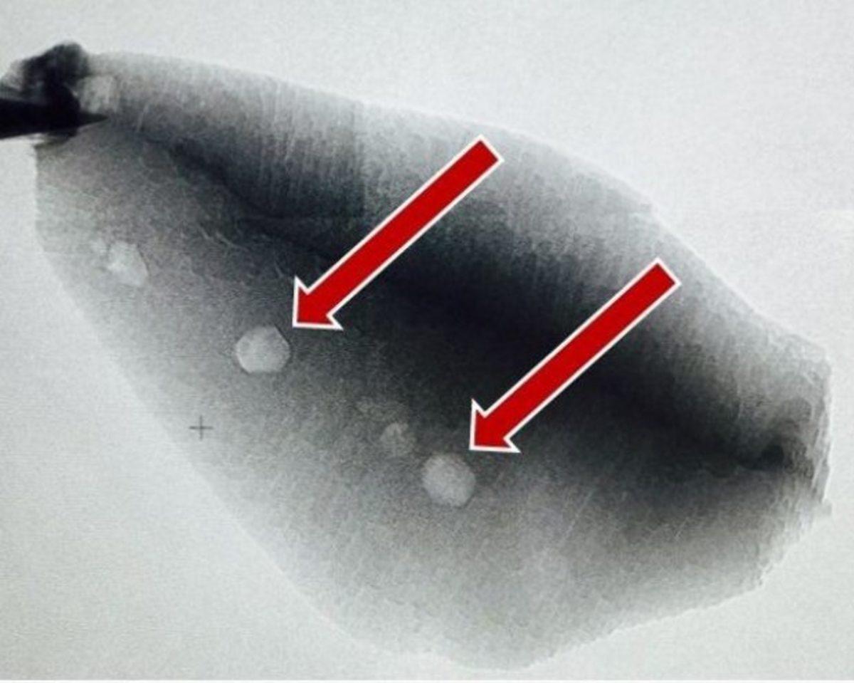 Dünya’daki Yaşam Belirtileri Çok Daha Eskiye Dayanıyor