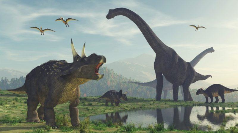 Bilim İnsanları, 200 Milyon Yıllık Dinozor Yumurtalarını 3D Modelleyerek İnceledi