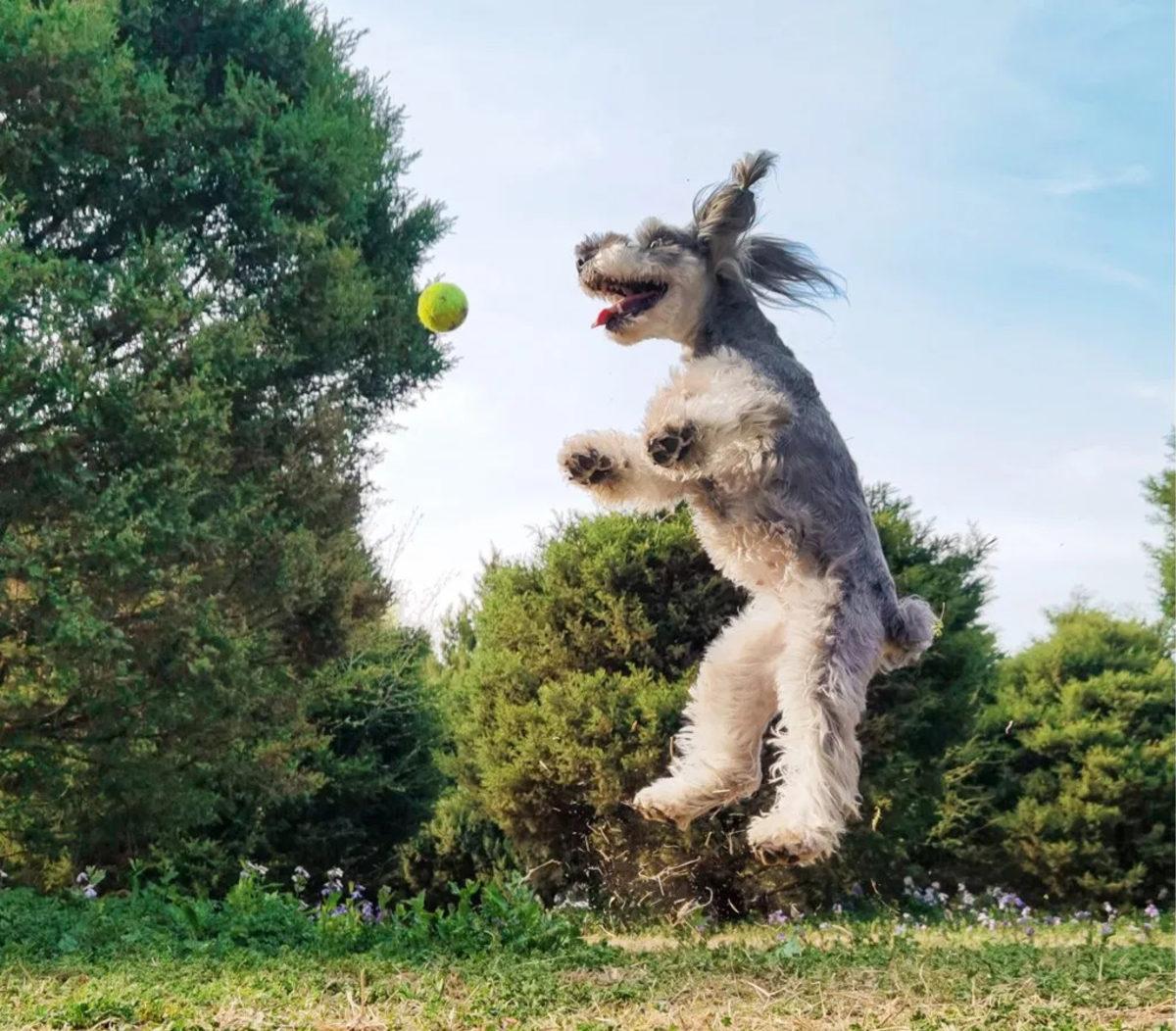 Honor 30 Pro+’ın Süper Hızlı Odaklanma Özelliğini Gösteren Video