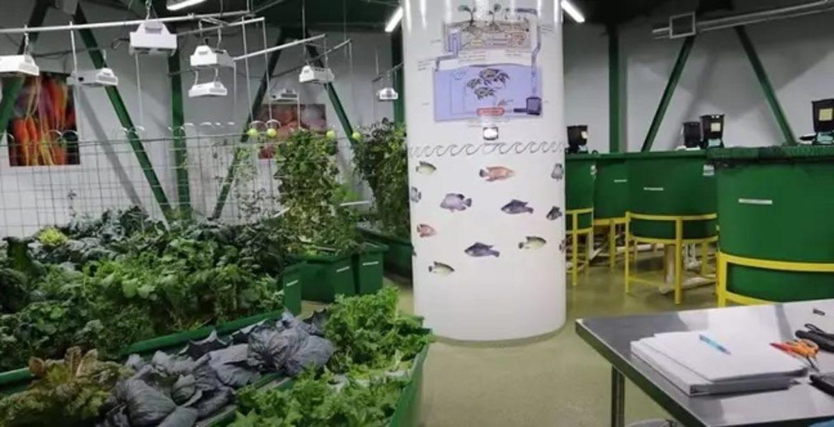 MrBeast’in 24 Saatini Geçirdiği 3 Milyon Dolar Değerindeki Özel Sığınak (Video)