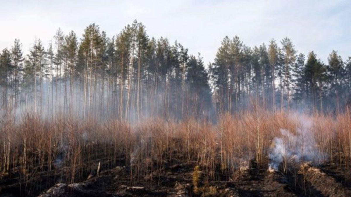 Ukrayna, Çernobil Nükleer Santrali Yakınlarındaki Yangını Söndürdüğünü Açıkladı