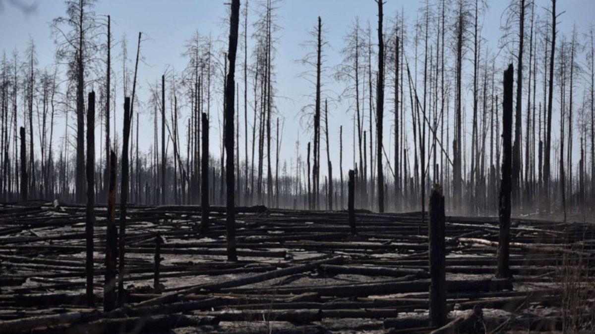 Türk Profesör, ’Çernobil’deki Radyoaktif Toz Türkiye’yi Etkiler mi?’ Sorusunu Cevapladı