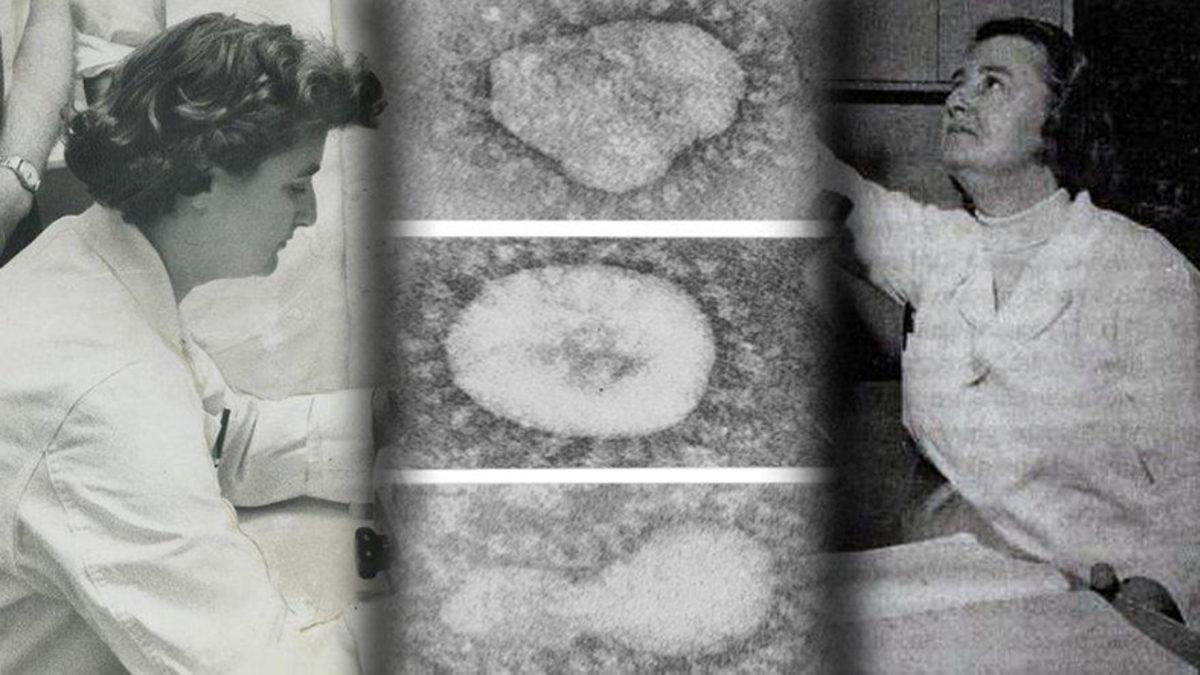 56 Yıl Önce İlk Koronavirüsü Keşfeden Bilim İnsanı: Dr. June Almeida