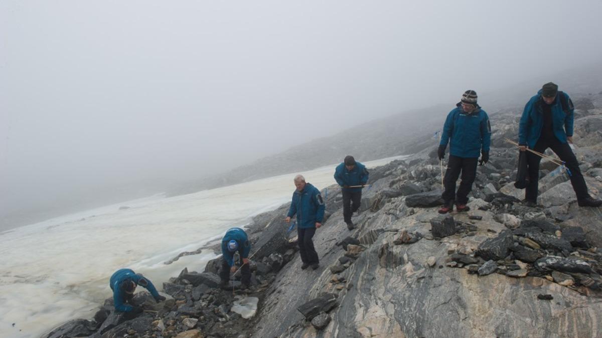 İklim Değişikliği Nedeniyle Eriyen Buzlar, Vikinglere Ait Bazı Sırları Açığa Çıkardı