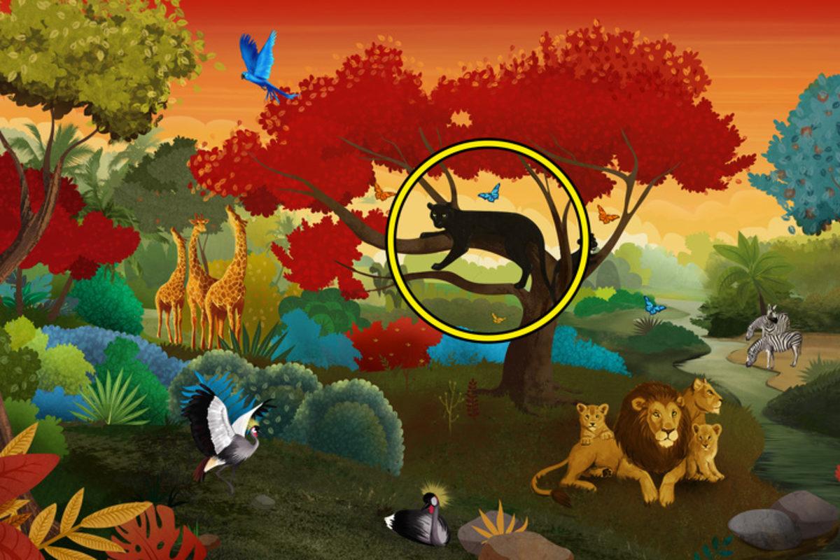 Hangi Konuda Sorun Yaşadığınızı Söyleyen Görsel Psikoloji Testi