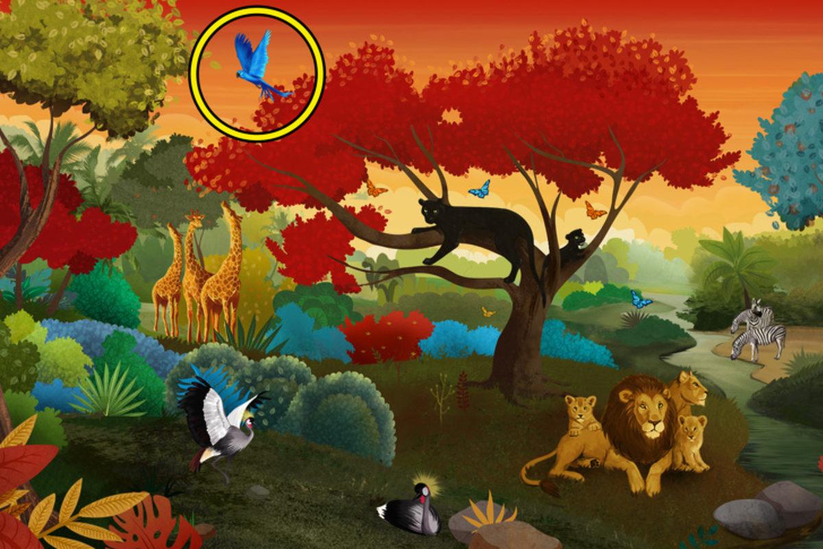 Hangi Konuda Sorun Yaşadığınızı Söyleyen Görsel Psikoloji Testi