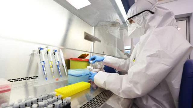 Bilim İnsanlarına Göre Koronavirüs İlaçları, Java Maymunları Üzerinde Denenebilir