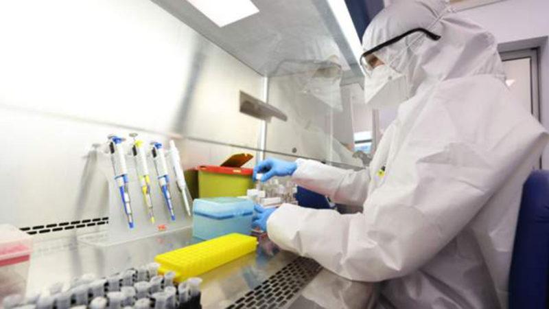 Bilim İnsanlarına Göre Koronavirüs İlaçları, Java Maymunları Üzerinde Denenebilir