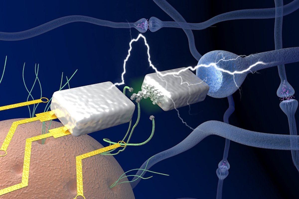 Araştırmacılar, Beyin Gibi Çalışan Elektronik Cihazlar Yapmanın Yolunu Buldu