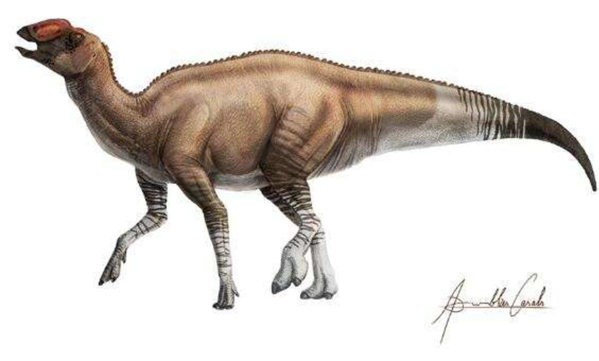 Ördek Gagalı Yeni Bir Dinozor Türü Keşfedildi
