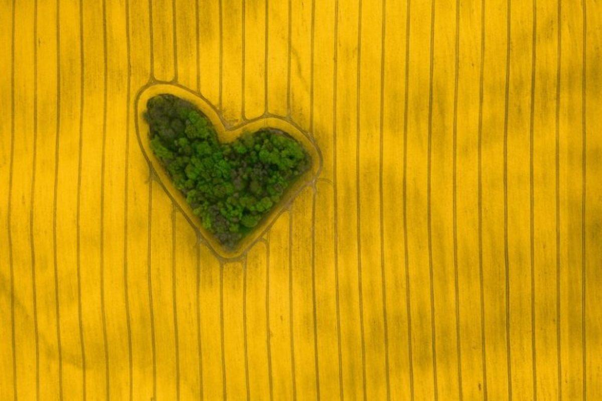 2019 Drone Fotoğrafçılığı Yarışmasında Kazananlar Belli Oldu