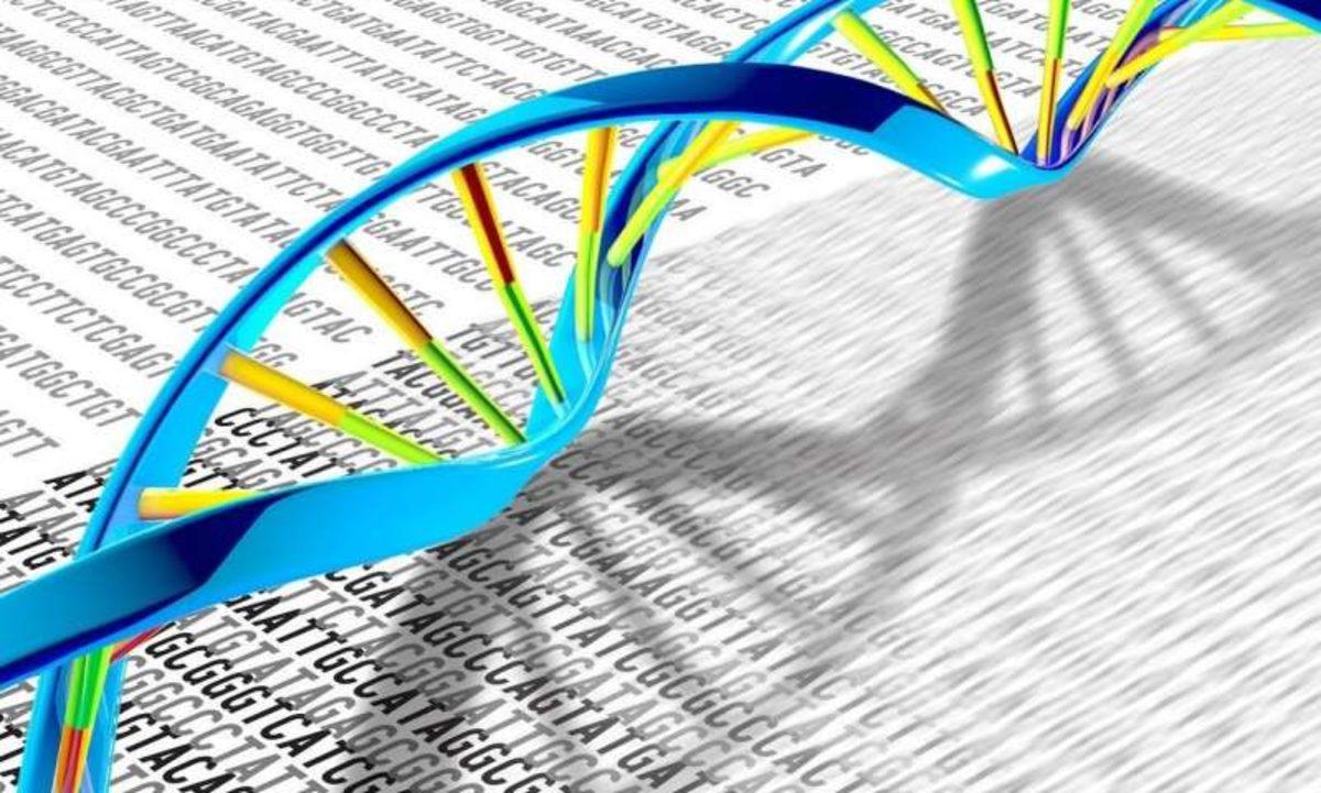 DNA Kopyalama Mekanizması, Atomik Seviyede Gözlemlendi