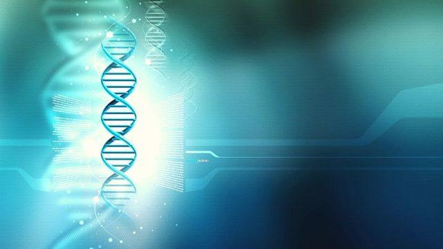 DNA Kopyalama Mekanizması, Atomik Seviyede Gözlemlendi