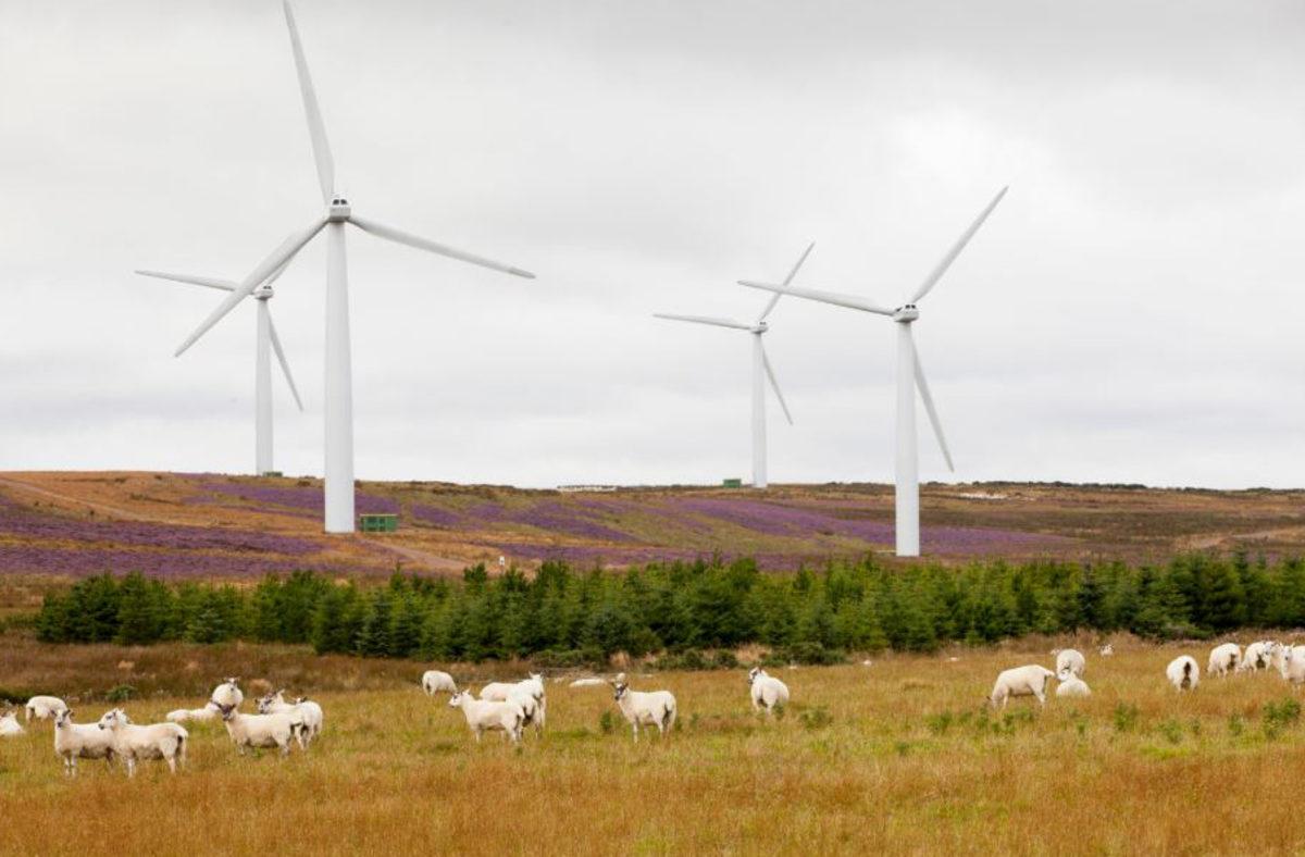 İskoçya’da Rüzgardan Elde Edilen Enerji, Evlerdeki İhtiyacın İki Katını Aştı