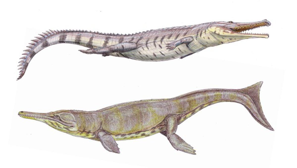 Tarih Öncesinde Timsahlar, Okyanusta Yunus ve Balinaları Taklit Ediyormuş