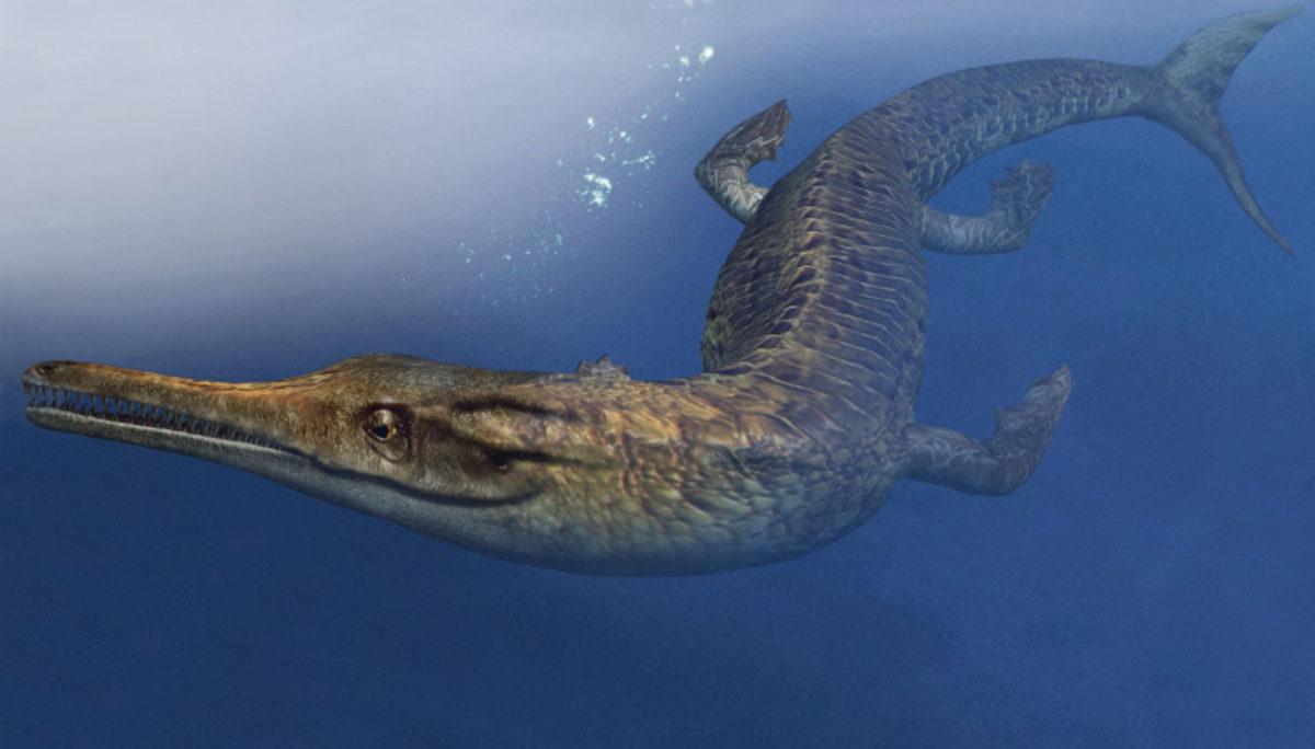 Tarih Öncesinde Timsahlar, Okyanusta Yunus ve Balinaları Taklit Ediyormuş