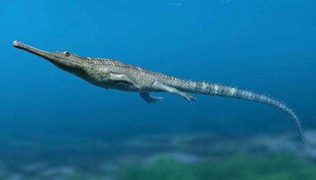 Tarih Öncesinde Timsahlar, Okyanusta Yunus ve Balinaları Taklit Ediyormuş