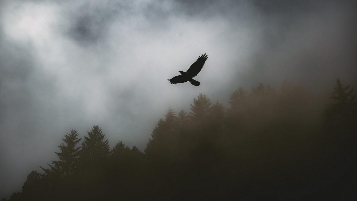 Paradoks Tam Olarak Nedir? Beyin Yakan 10 Paradoks Örneği