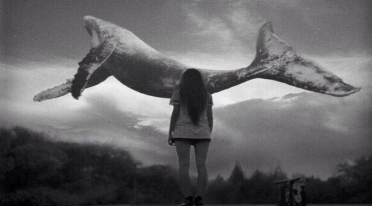 150 Çocuğun İntiharıyla İlişkilendirilen Mavi Balina TBMM’nin Gündeminde