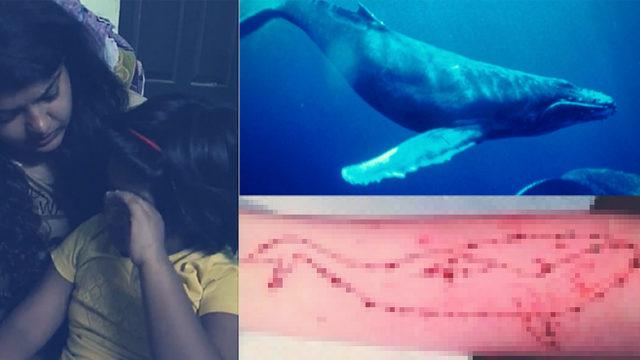 150 Çocuğun İntiharıyla İlişkilendirilen Mavi Balina TBMM’nin Gündeminde