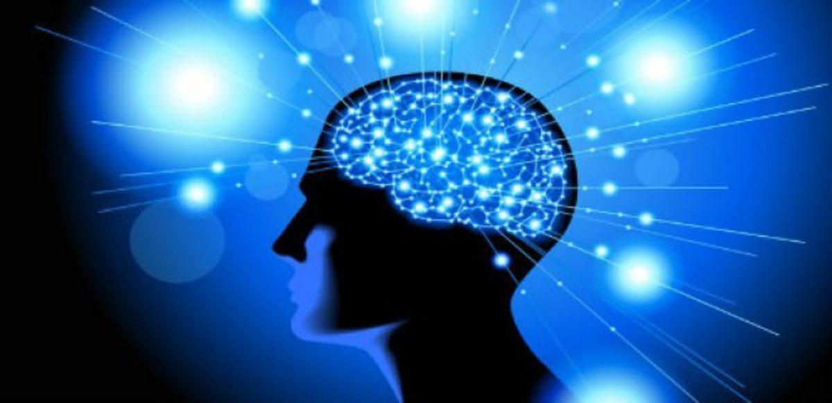 İnsan Hafızasına Dair Çok Önemli Bir Sır Daha Çözülmek Üzere