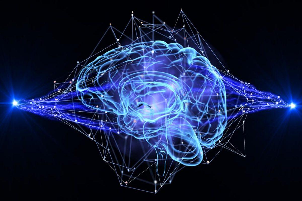 İnsan Hafızasına Dair Çok Önemli Bir Sır Daha Çözülmek Üzere