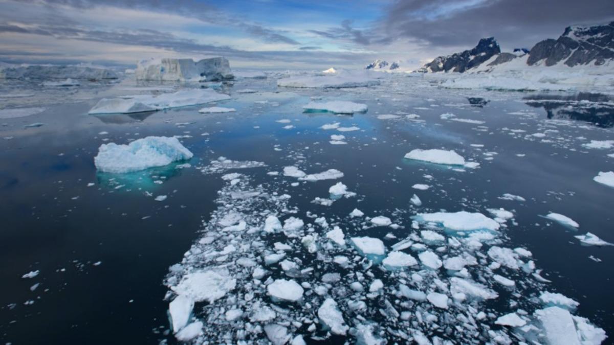 Antarktika Deniz Buzunun İçinde İlk Kez Mikroplastik Atık Keşfedildi