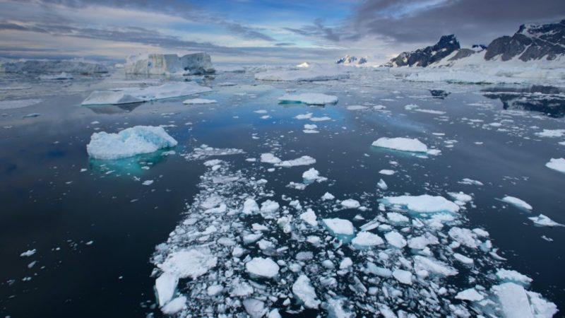 Antarktika Deniz Buzunun İçinde İlk Kez Mikroplastik Atık Keşfedildi