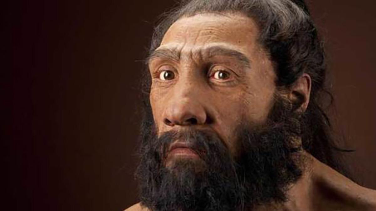 Neandertallerin Annelerinin Yaşlı, Babalarının Genç Olduğunu Gösteren Araştırma