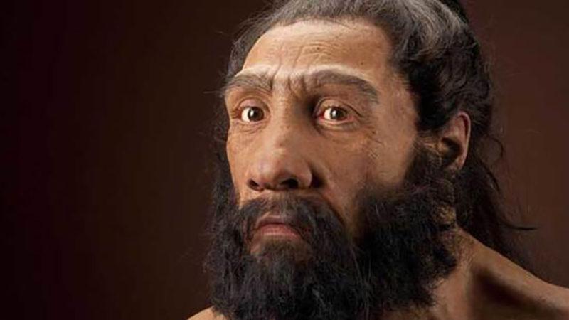Neandertallerin Annelerinin Yaşlı, Babalarının Genç Olduğunu Gösteren Araştırma