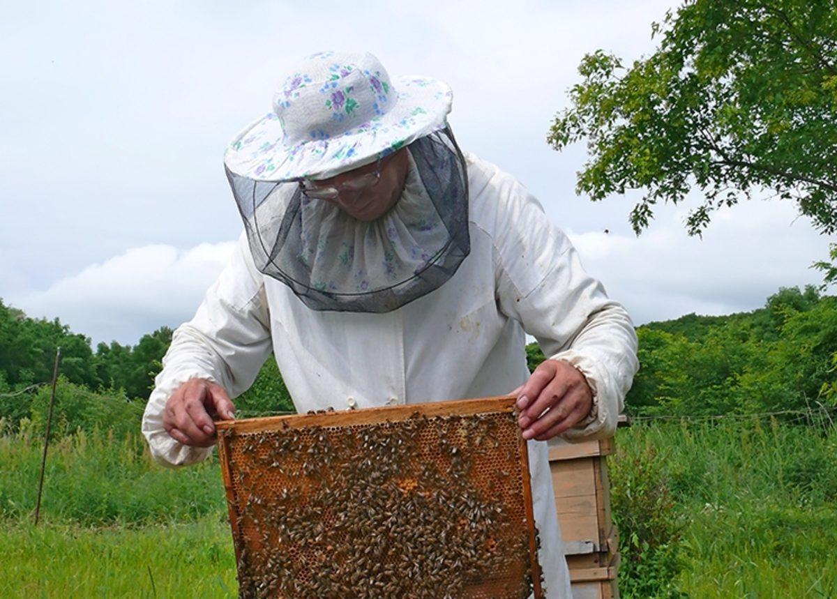 Yaşlanırken Yeni Şeyler Öğrenmek Beyni Nasıl Genç Tutuyor?