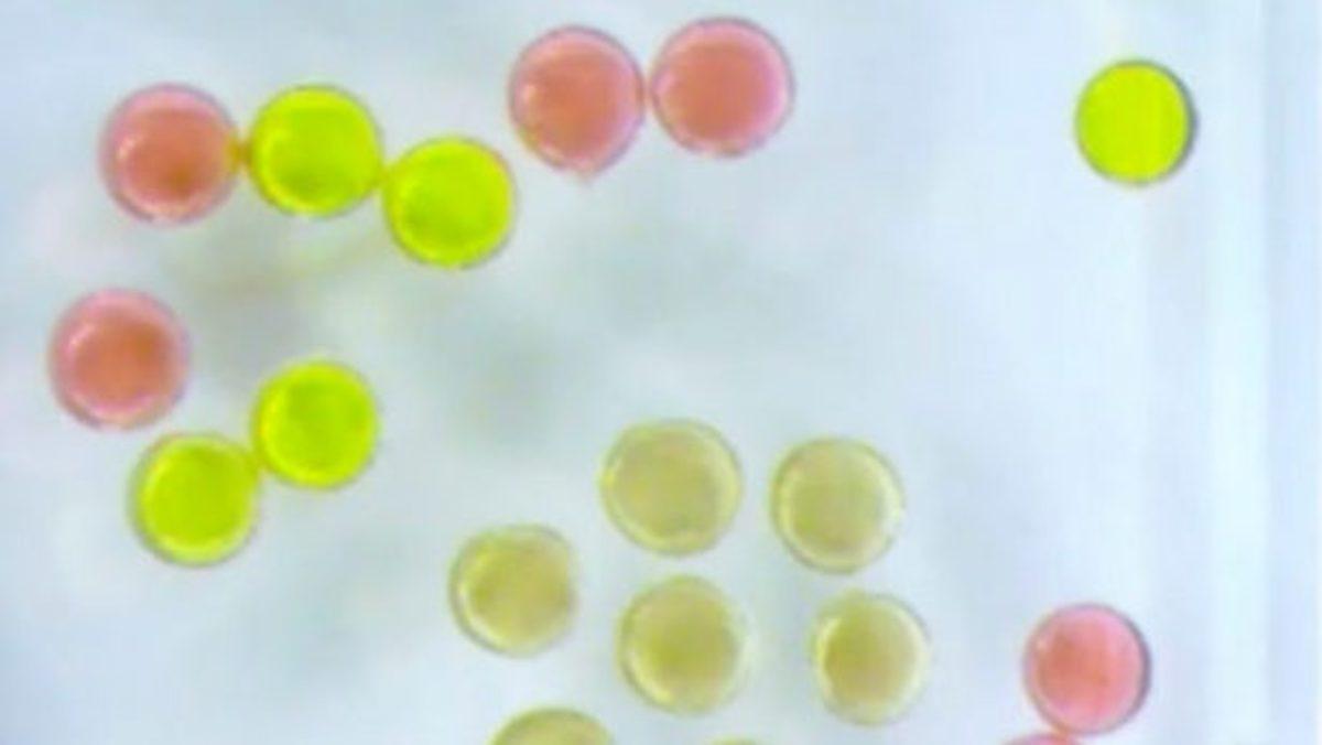 Araştırmacılar, Dünyanın İlk Sıvı Mıknatısını Oluşturdular (Video)