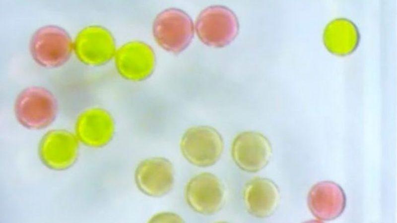 Araştırmacılar, Dünyanın İlk Sıvı Mıknatısını Oluşturdular (Video)