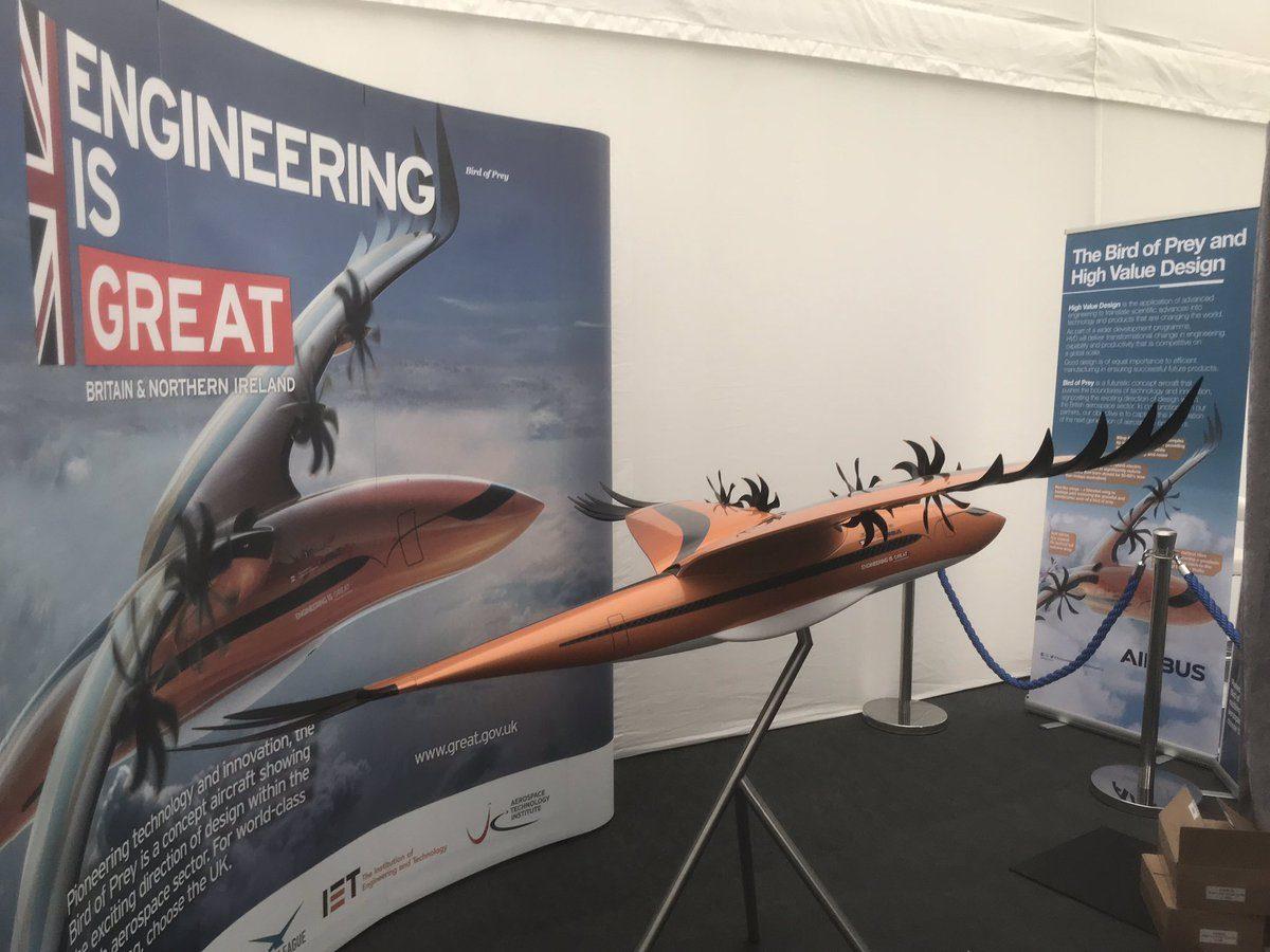 Kuşlardan İlham Alınarak Tasarlanan Model Uçak: Yırtıcı Kuş