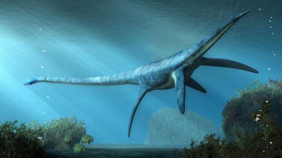 51. Bölge’den Sonra Başlayan Yeni Etkinlik: Loch Ness Canavarı’nı Bulmak