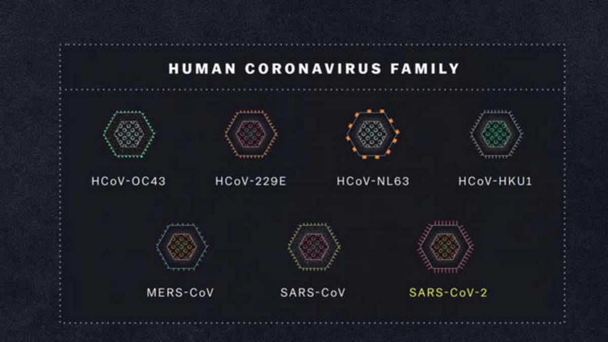 Netflix, Koronavirüsü Konu Alan Belgeseli ’Coronavirus, Explained’in İlk Bölümünü Yayınladı