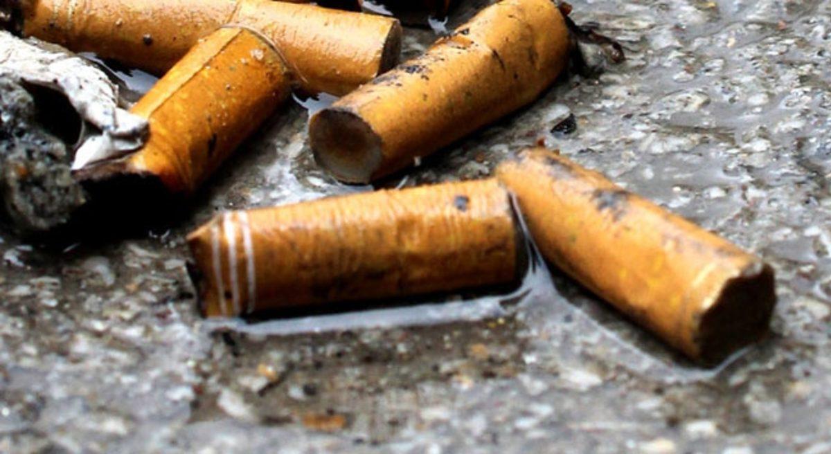 İzmaritlerin Çevreye Olan Korkunç Etkisini Gösteren Araştırma