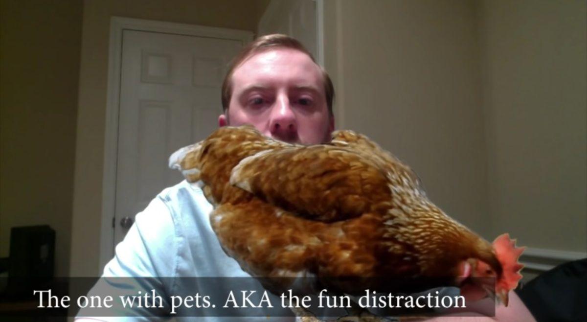 Farklı Tiplerdeki Zoom Kullanıcılarını Gösteren Eğlenceli Video